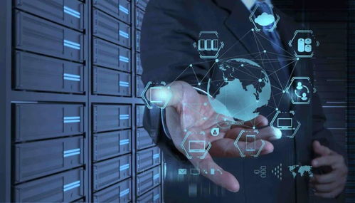 万字长文 柔性供应链是伪命题吗